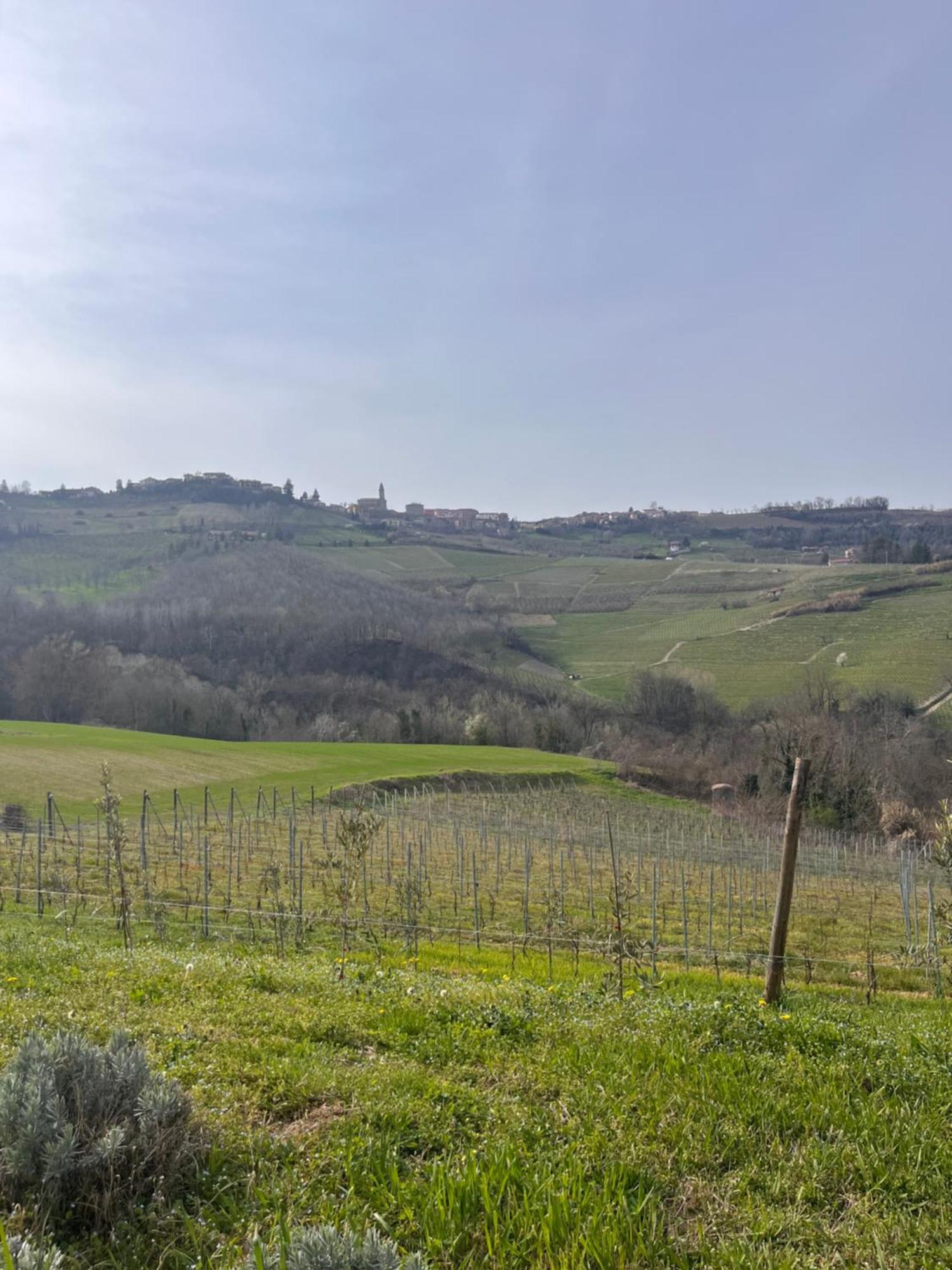 Le Cornici - Cascina Di Charme Hotel Diano dʼAlba Eksteriør billede
