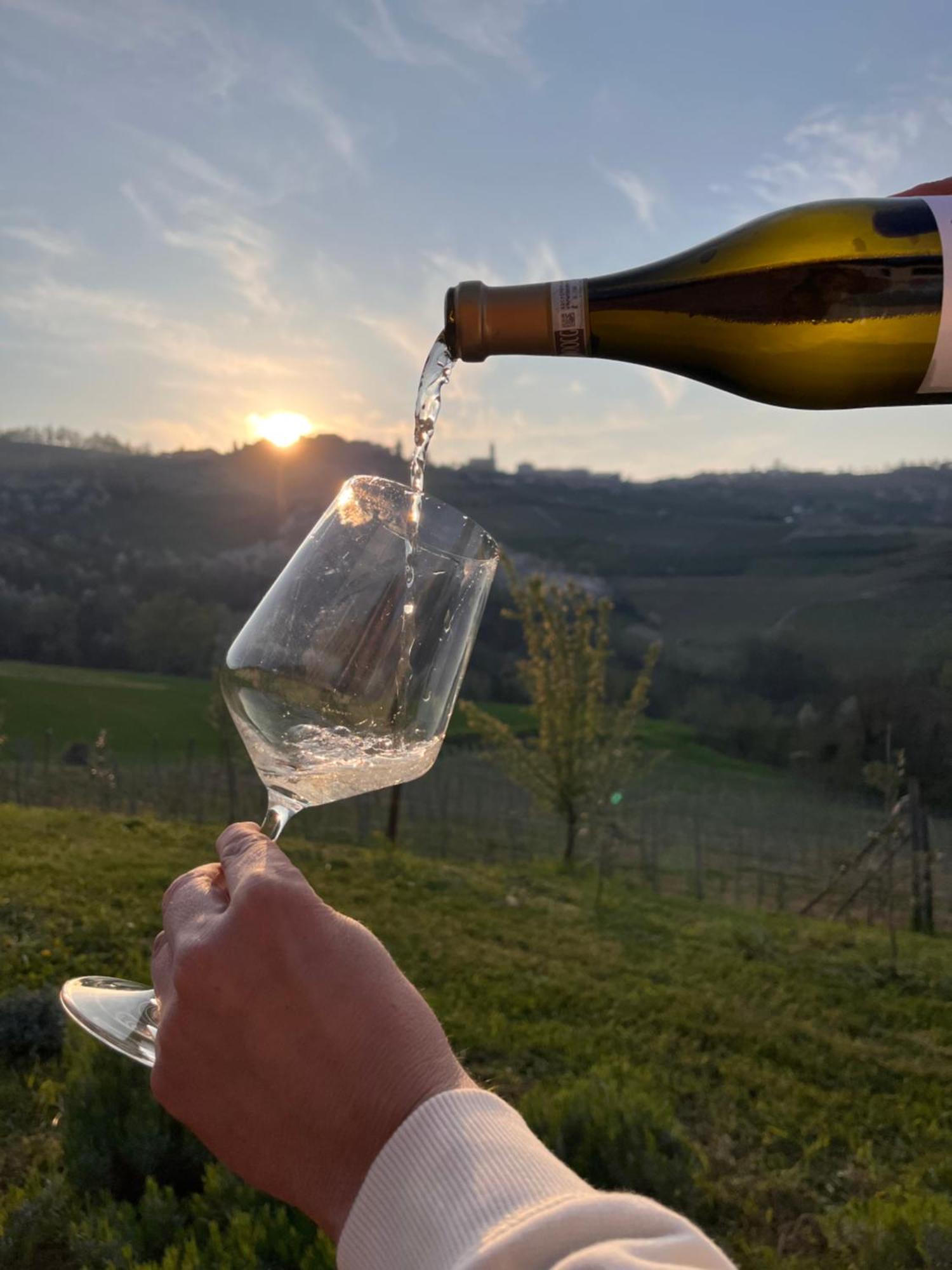 Le Cornici - Cascina Di Charme Hotel Diano dʼAlba Eksteriør billede